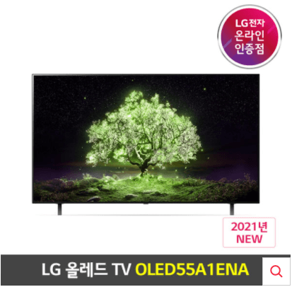 LG올레드TV : LG 올레드 OLED TV OLED55A1ENA 55인치