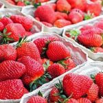 무더위 폭염 에 도움되는 수분이 많은 과일 딸기