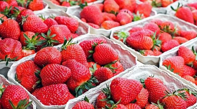 무더위 폭염 에 도움되는 수분이 많은 과일 딸기