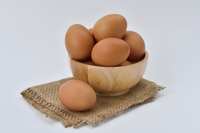 단백질보충제 대표적인 식품 계란