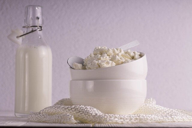 뼈 건강 에 좋은 유제품 ㅣ 우유 코티지 치즈