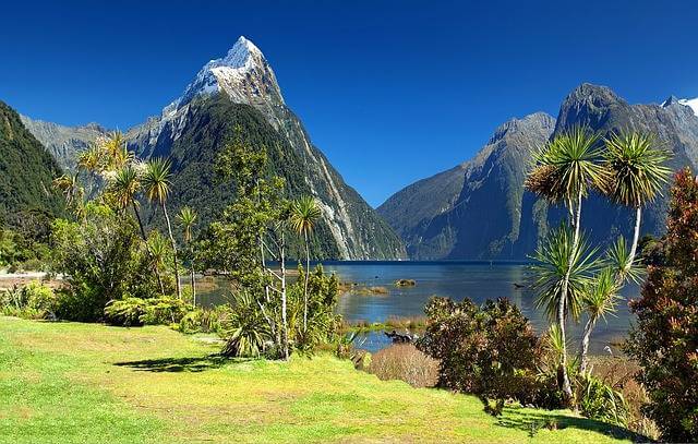 여름 휴가지 : 뉴질랜드