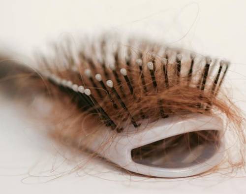 가을철 탈모 : 머리카락이 재생되는 과정