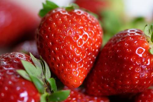 비타민 항산화 풍부한 딸기